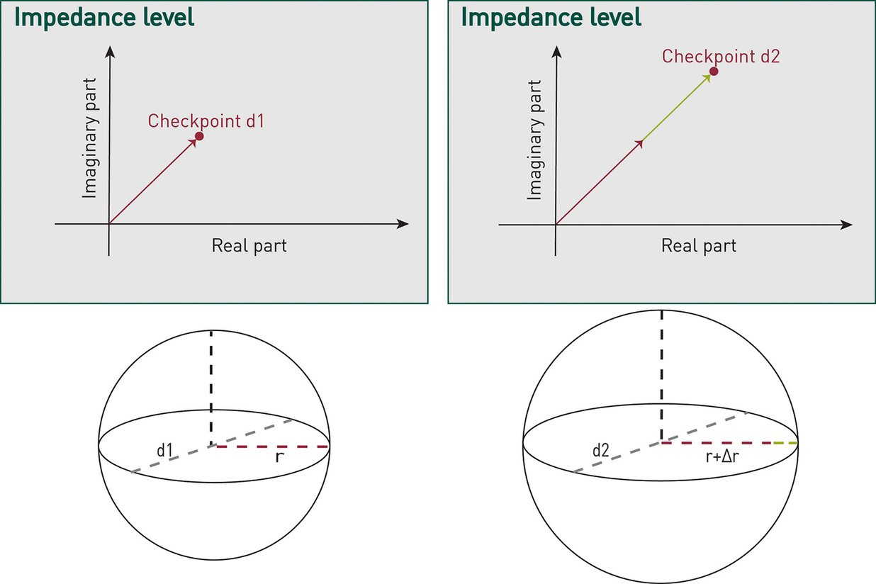 Flatation Example Ball Example Checking ball diameters using eddy current | FOERSTER Group